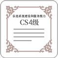 CS4 Level for Information System Construction and Service Capability